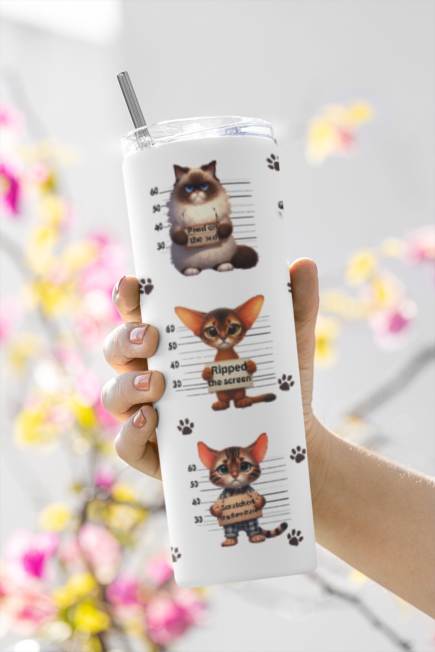 Collage of Different Cartoon Cat Mug Shots 2 PNG Tumbler Wraps With Quote, I'm The Reason Why We Can't Have... Sublimation Digital Design.